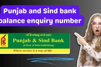 Punjab and Sind bank balance enquiry number