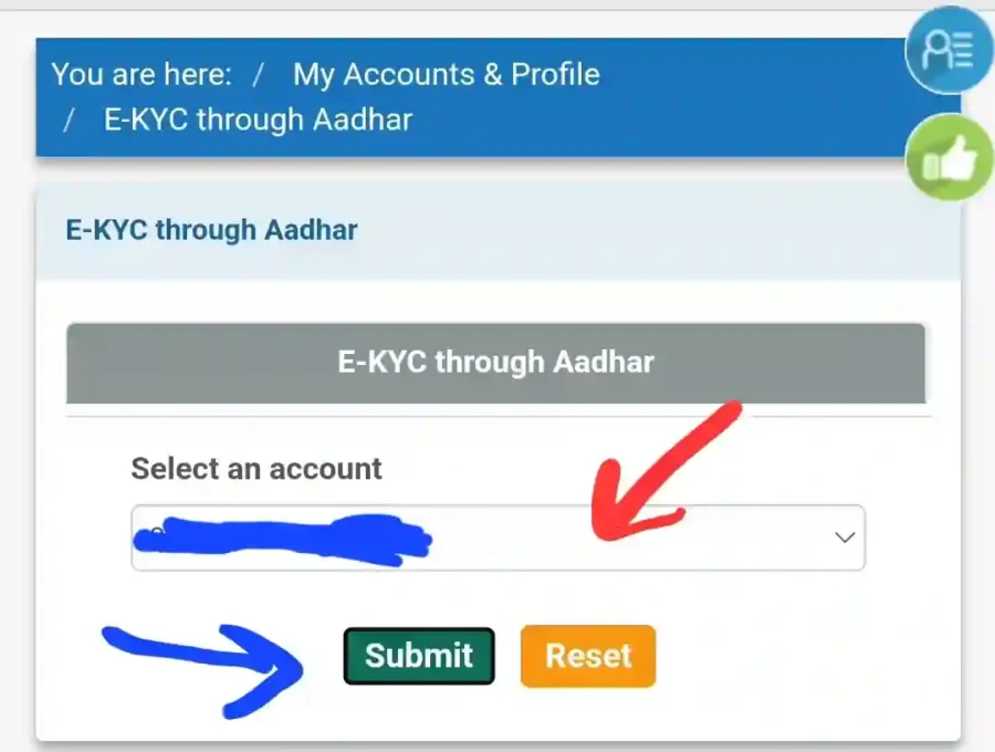 Account number fill for address update